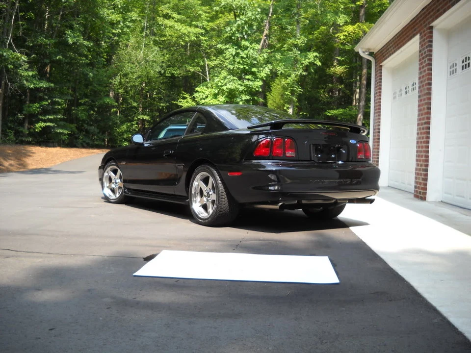 DSCN2716.webp