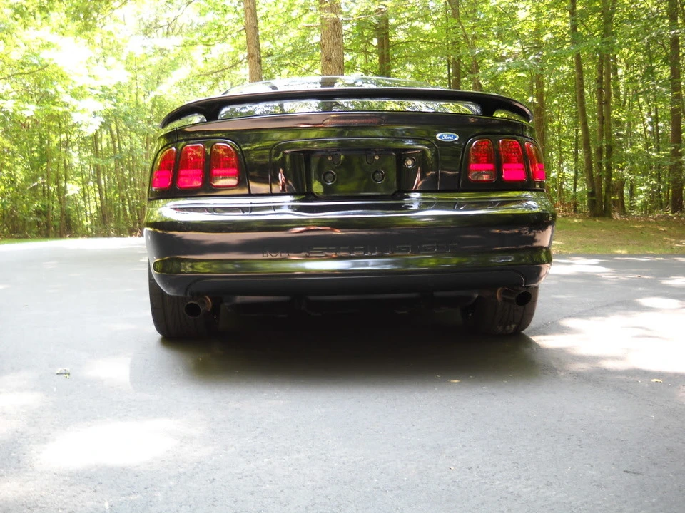 DSCN2737.webp