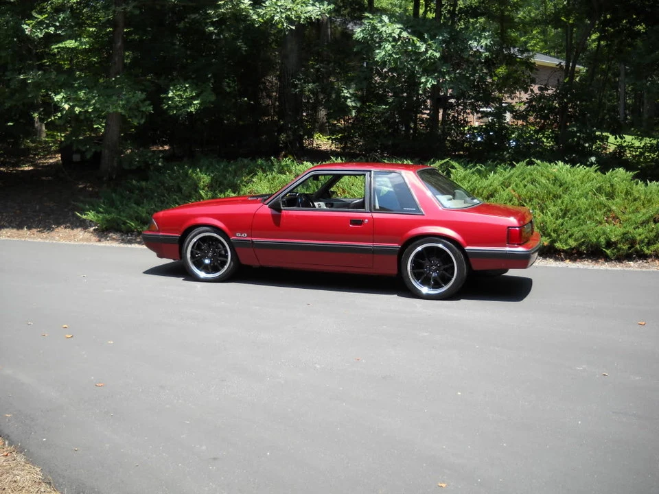 DSCN2755.webp