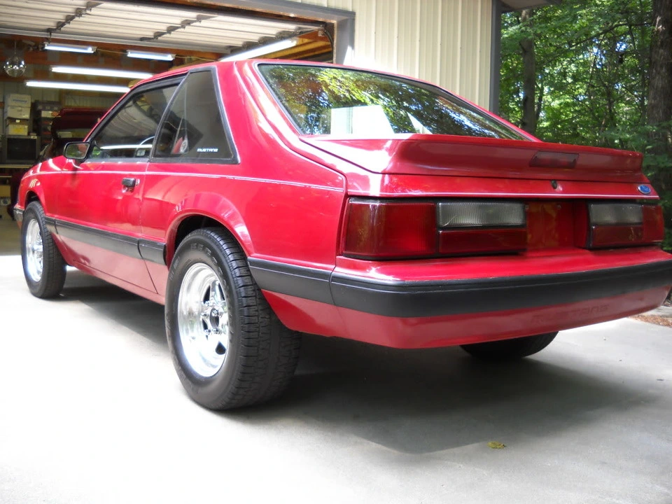DSCN2780.webp