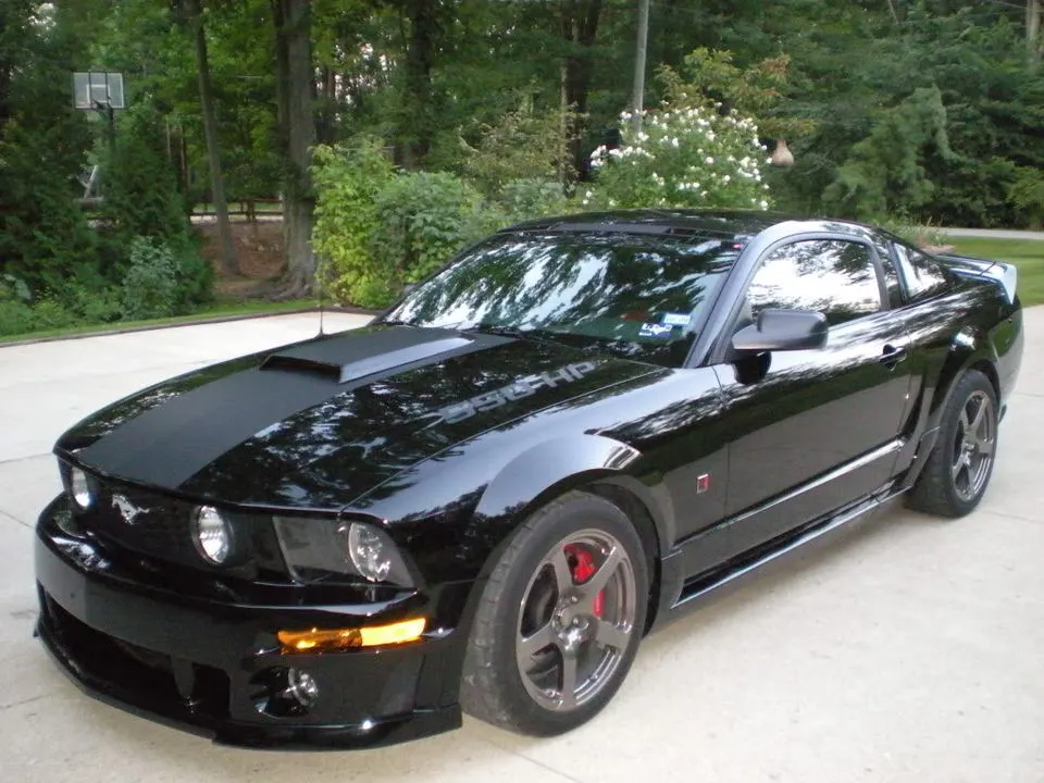 DSCN2782.webp