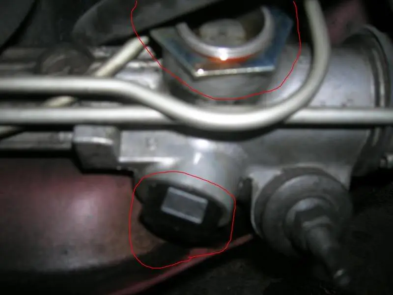 DSCN2799.webp