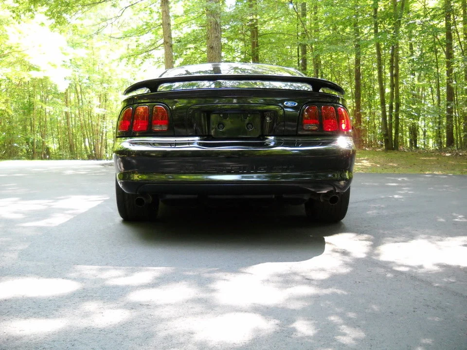 DSCN2813.webp