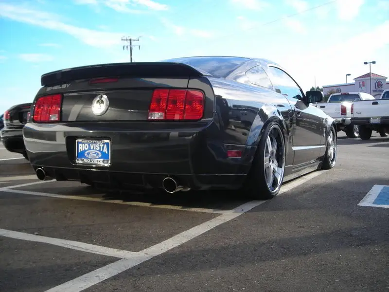 DSCN2851.webp