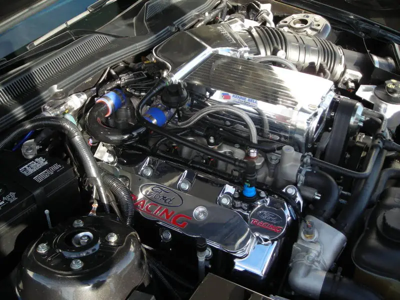 DSCN2855.webp