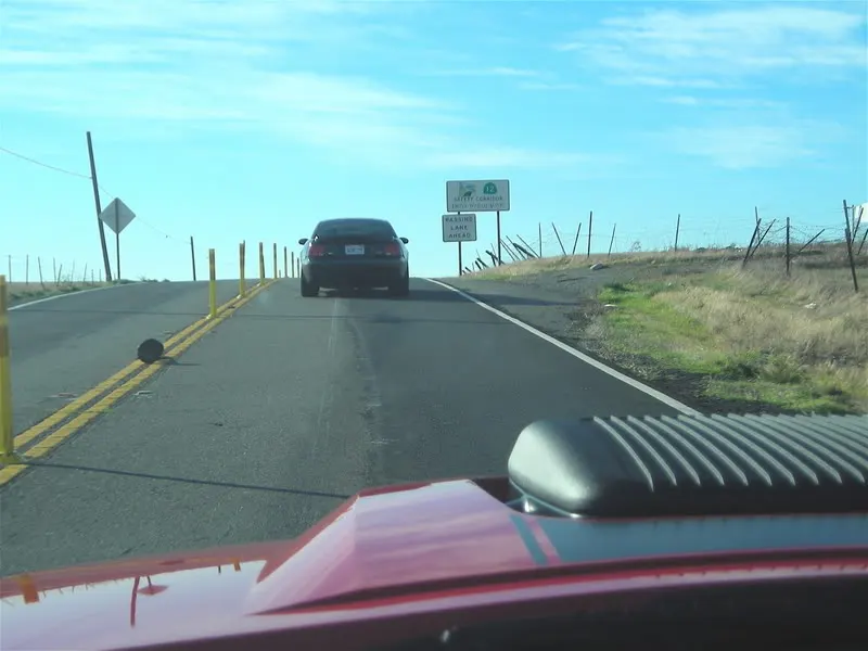 DSCN2857.webp