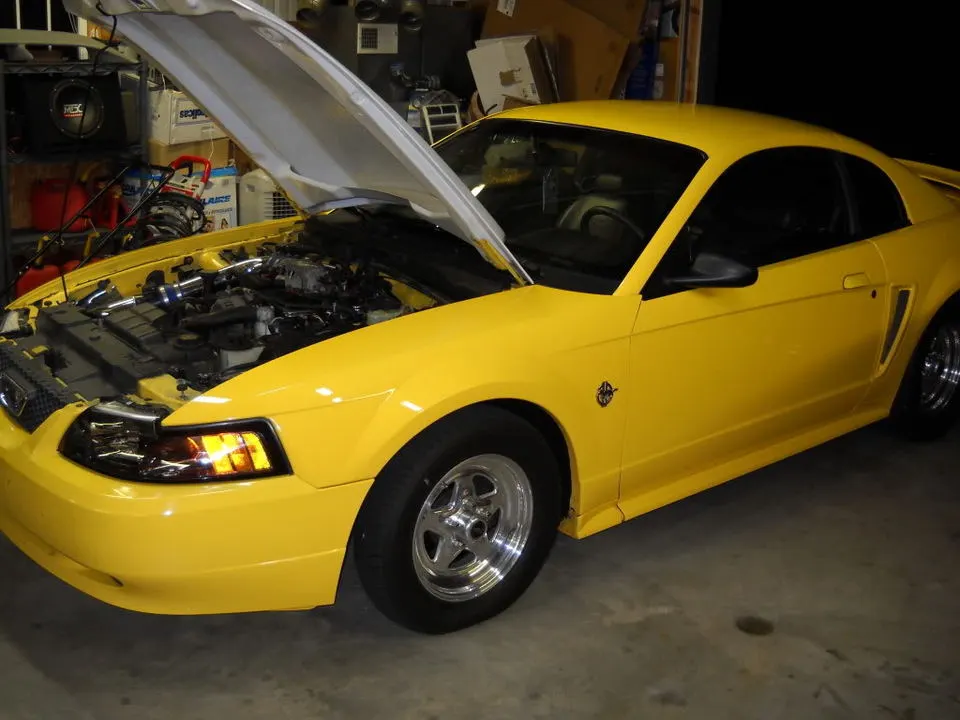 DSCN2883.webp