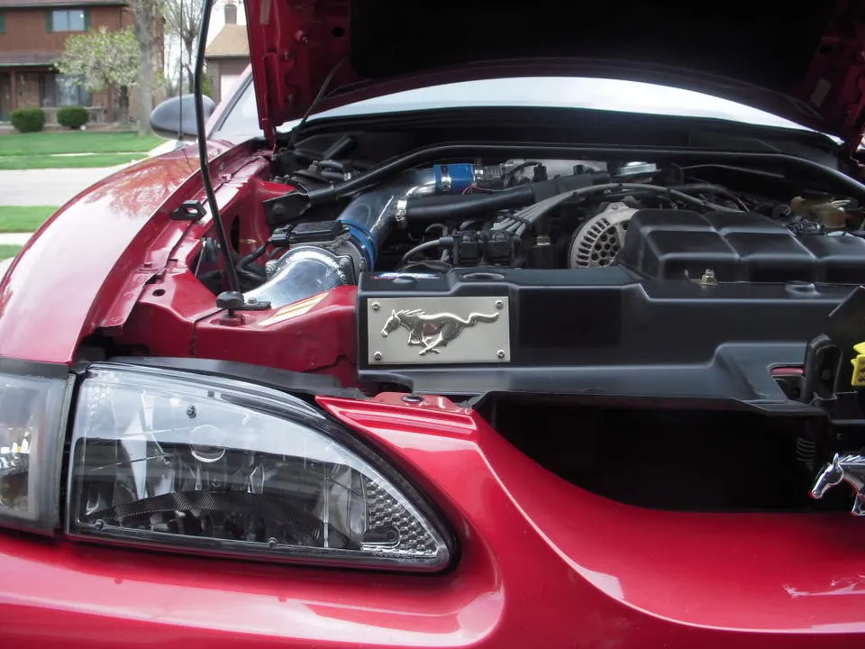 DSCN2885.webp