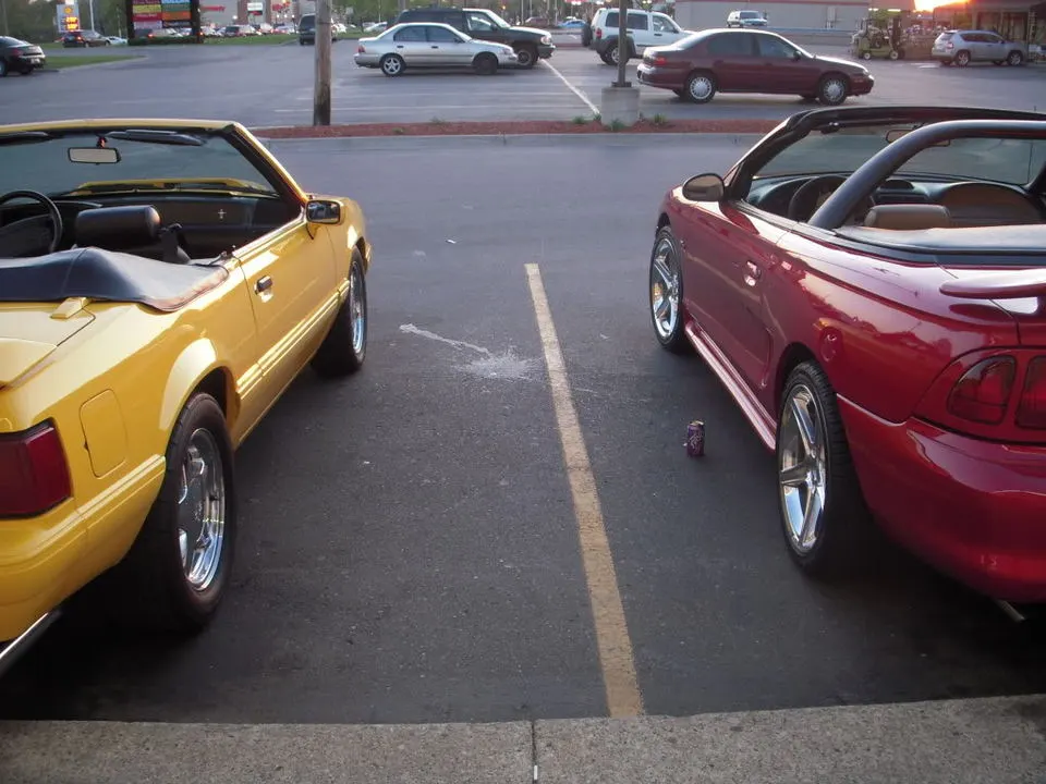 DSCN2918.webp