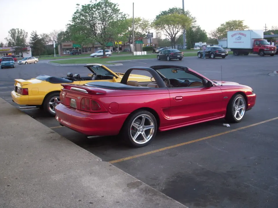 DSCN2919.webp