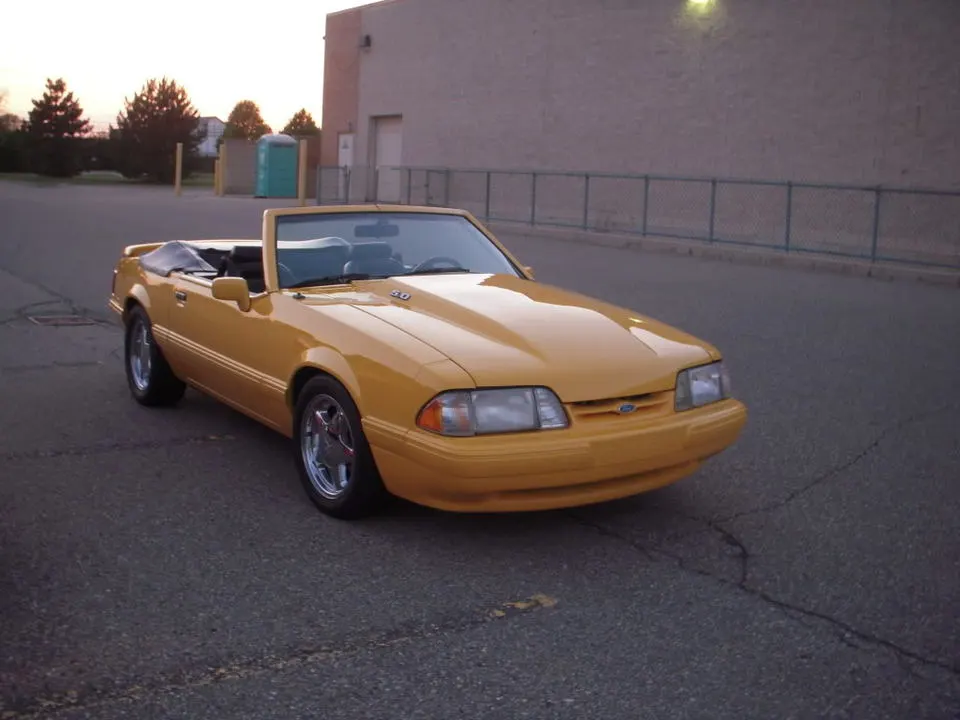 DSCN2920.webp
