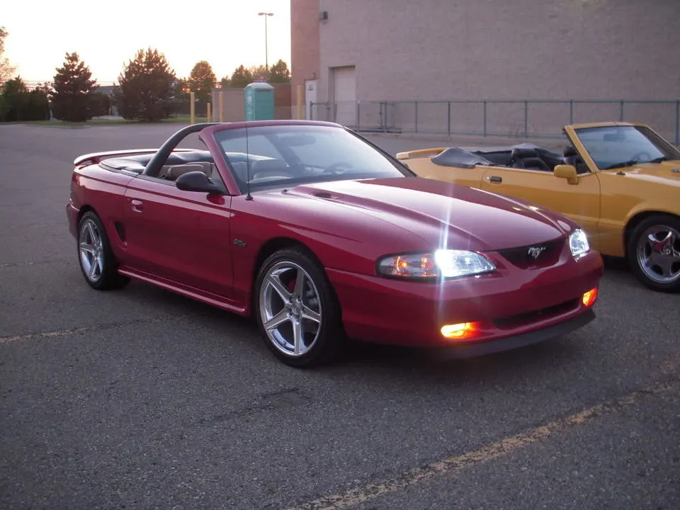 DSCN2921.webp