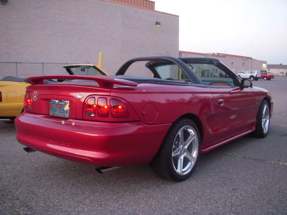 DSCN2924.webp