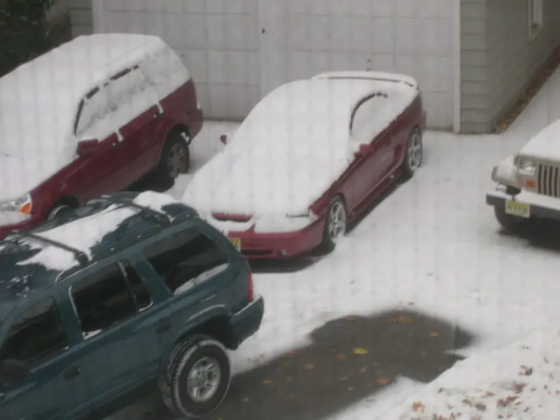DSCN2926.webp