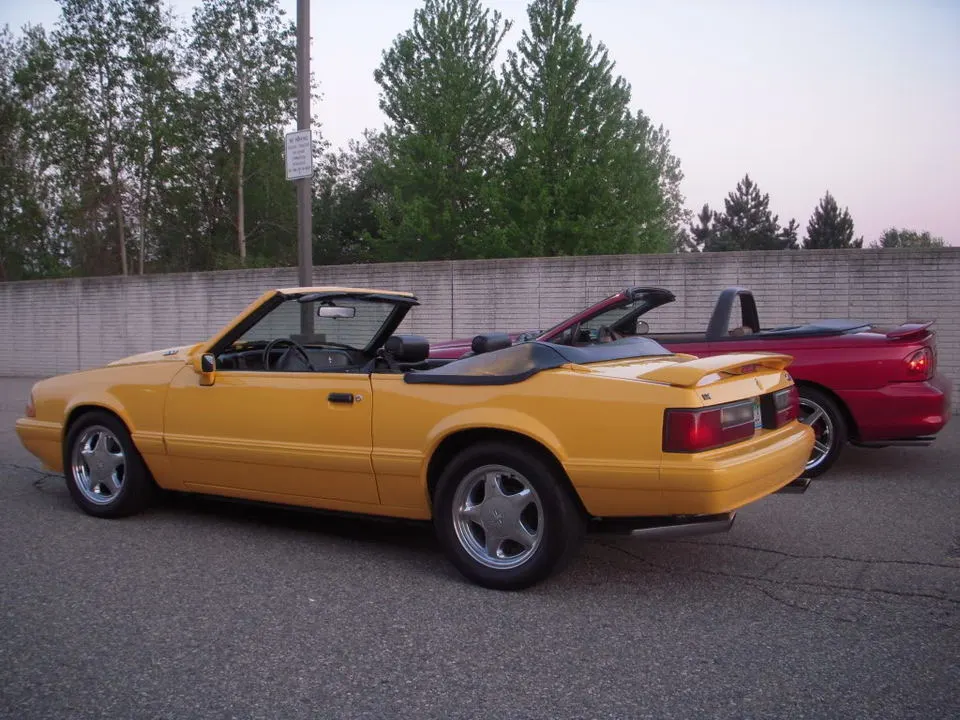 DSCN2928.webp