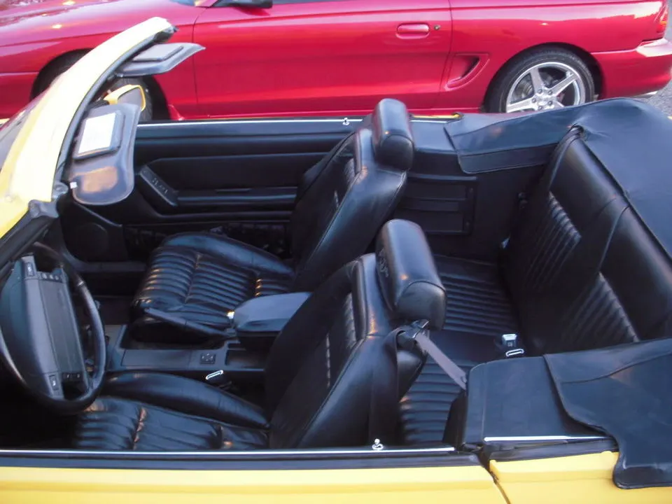 DSCN2934.webp