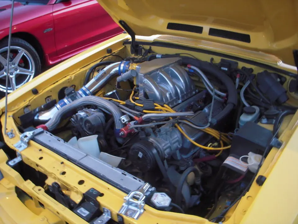 DSCN2938.webp