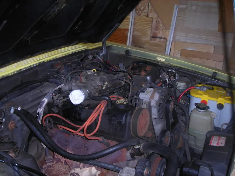 DSCN2950.webp