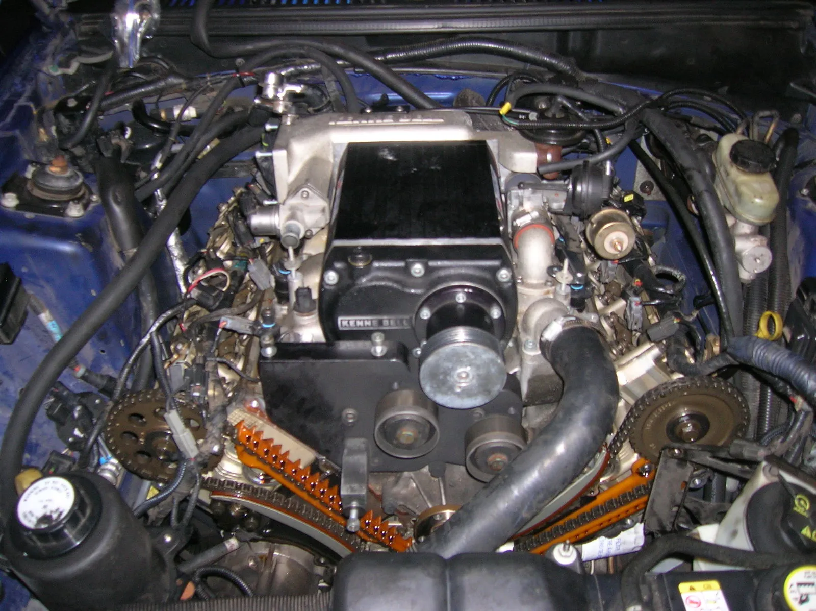 DSCN2951.webp