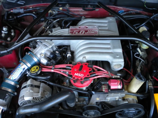 DSCN2955.webp