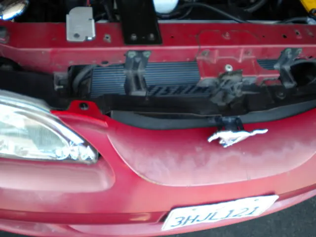 DSCN2961.webp