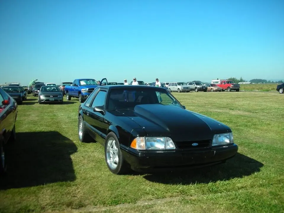 DSCN29721.webp