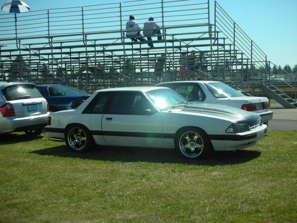 DSCN29751.webp