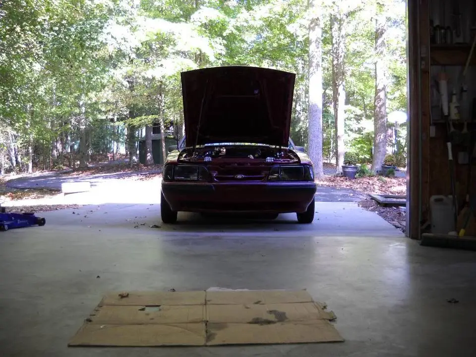 DSCN3009.webp