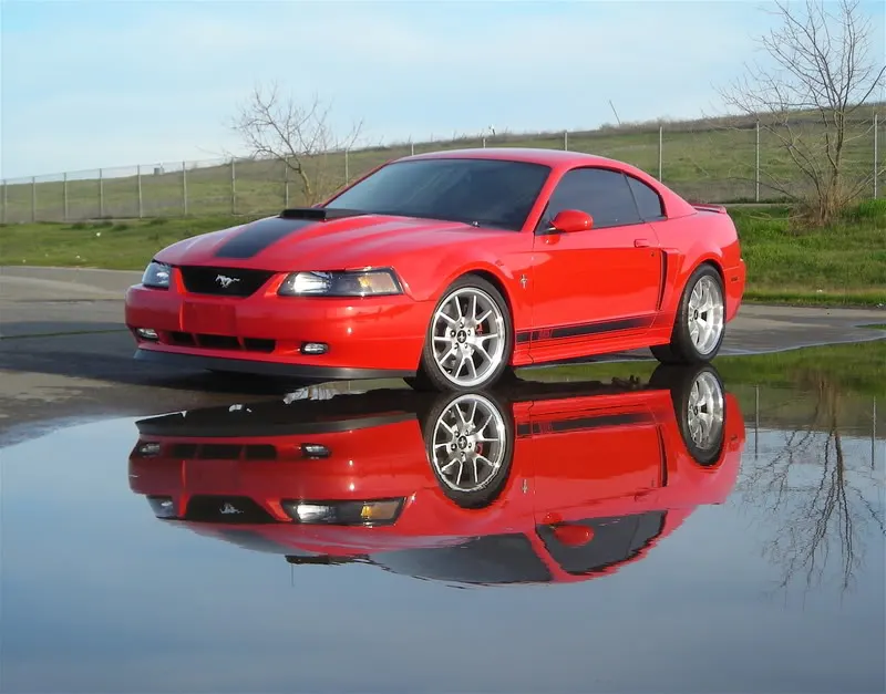 DSCN3032.webp