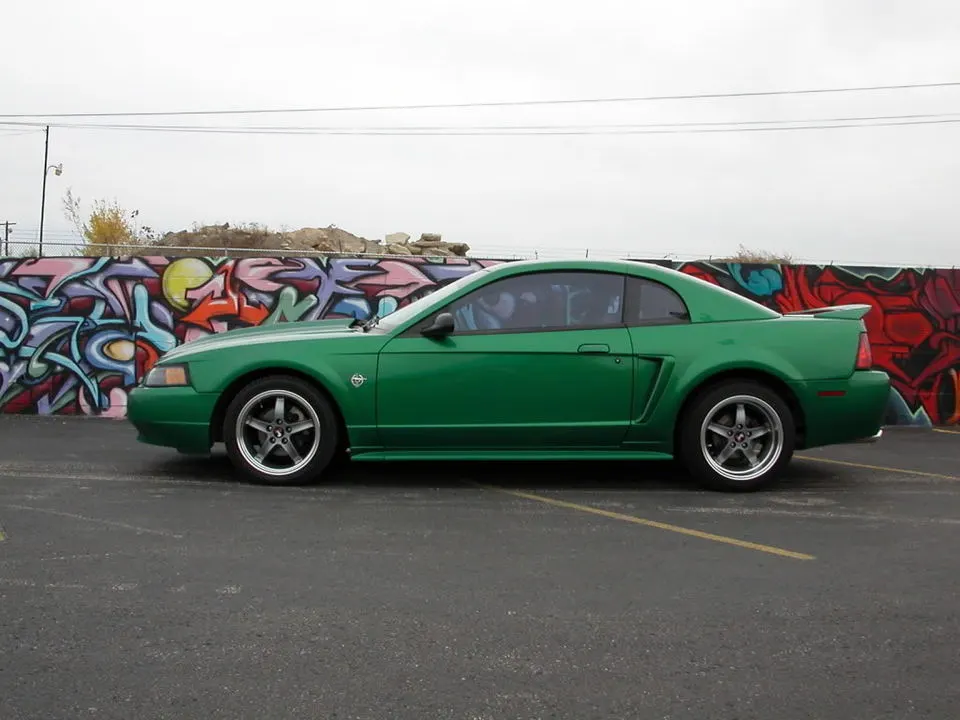 DSCN3053.webp