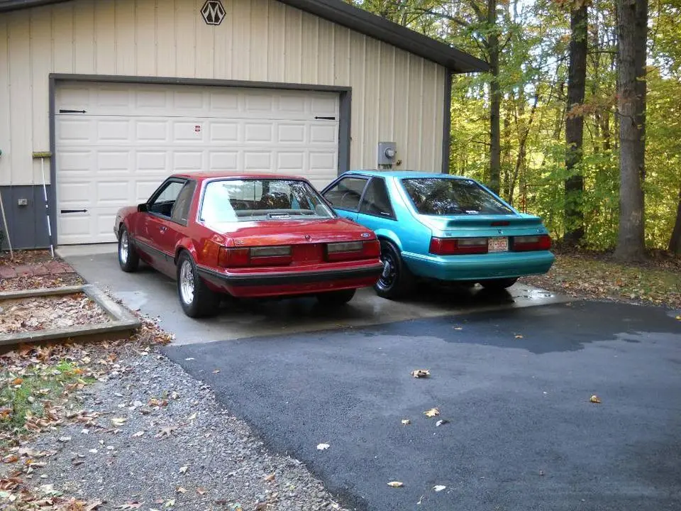 DSCN3097.webp