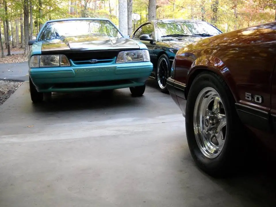DSCN3109.webp