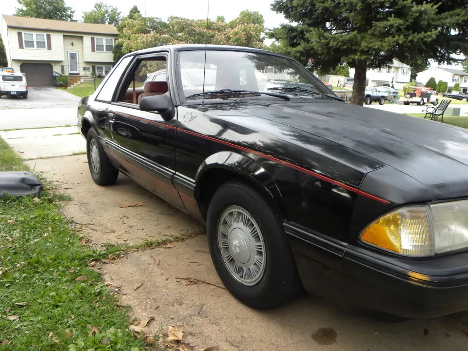 DSCN3259.webp