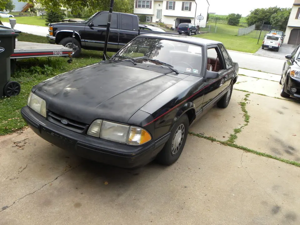 DSCN3264.webp