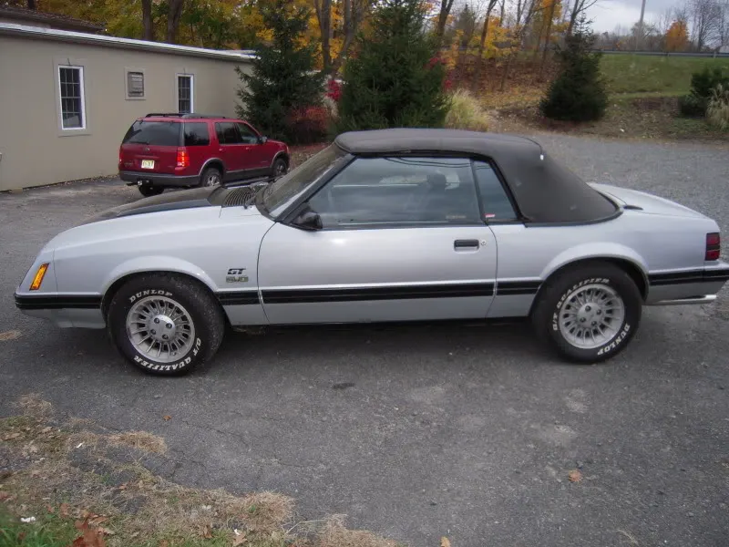 DSCN3290.webp