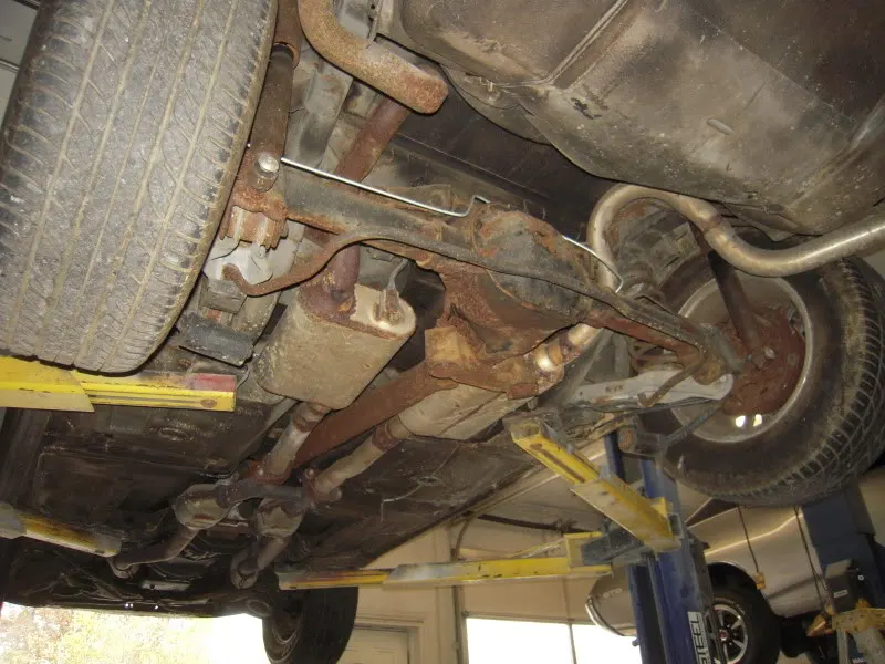 DSCN3298.webp