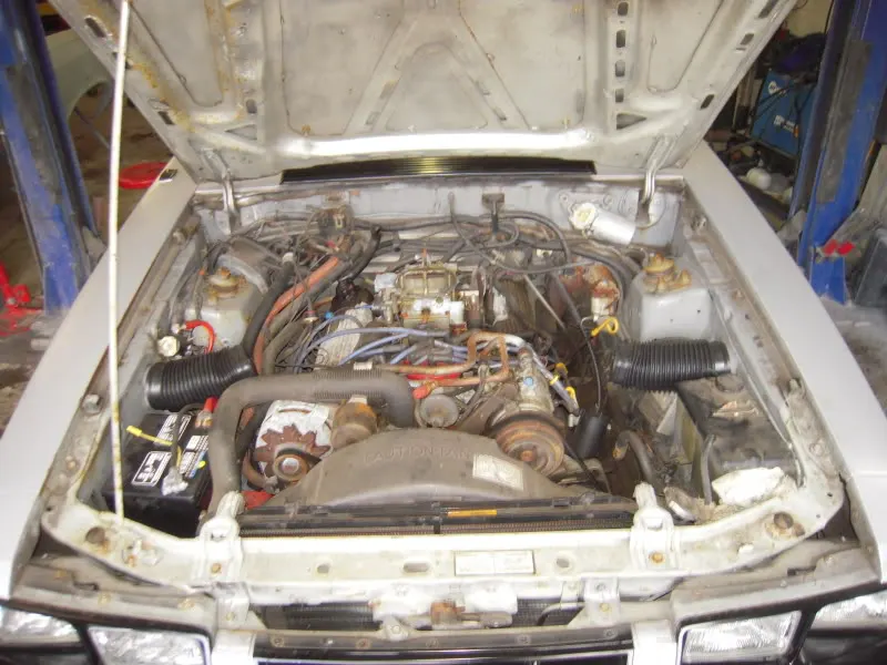 DSCN3304.webp