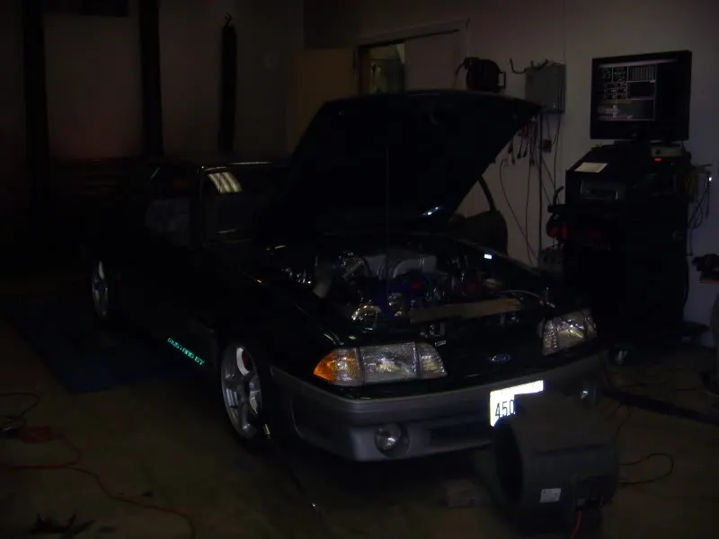 DSCN3305.webp