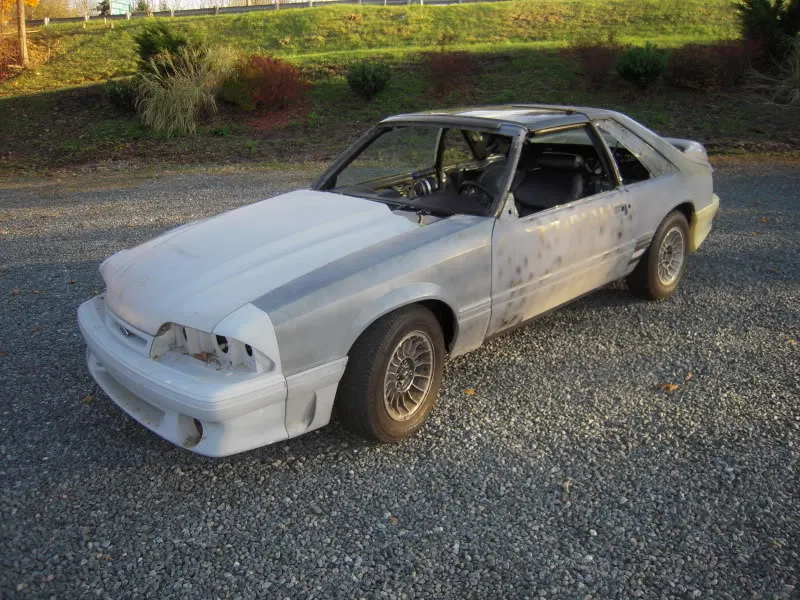 DSCN3311.webp