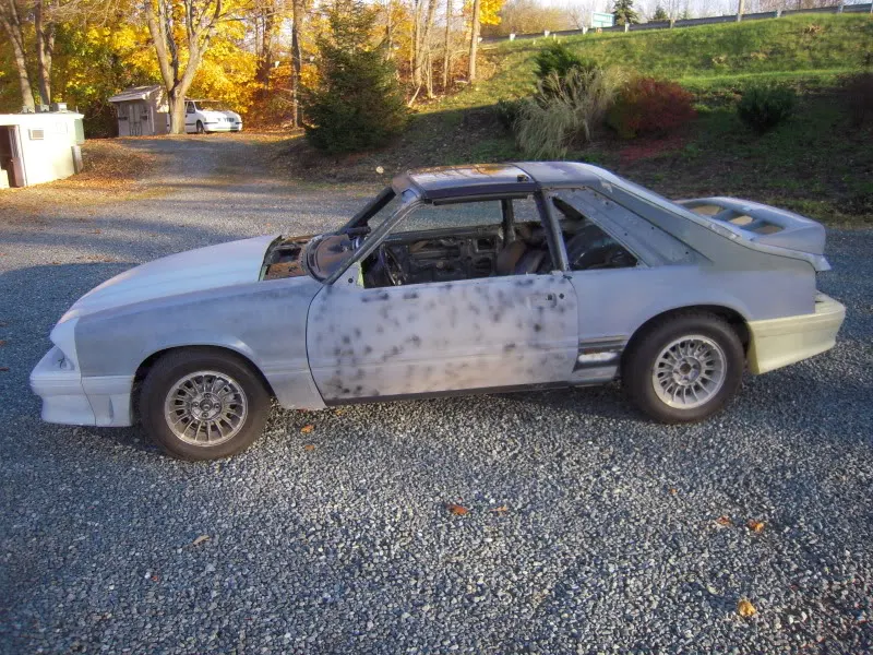 DSCN3312.webp