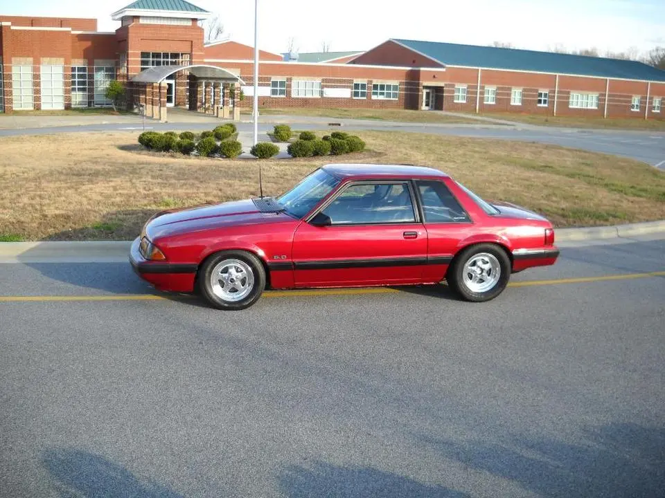 DSCN3330.webp