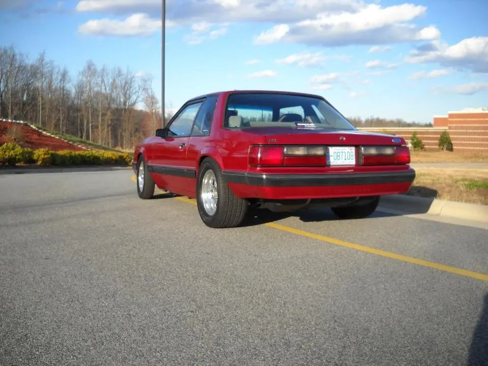 DSCN3331.webp