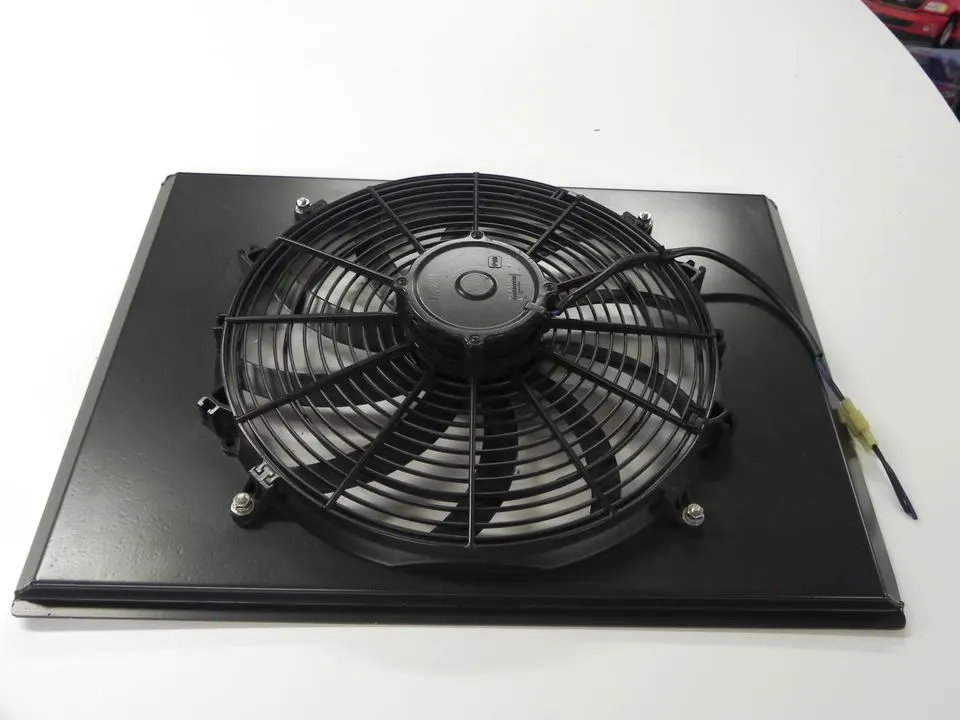 DSCN3331.webp