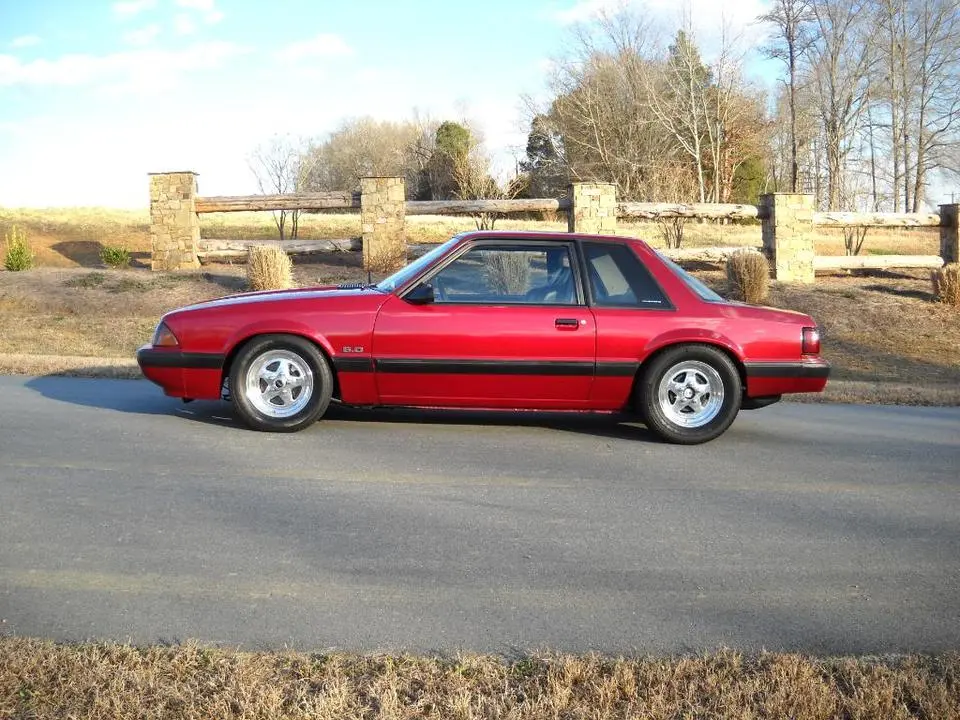 DSCN3339.webp