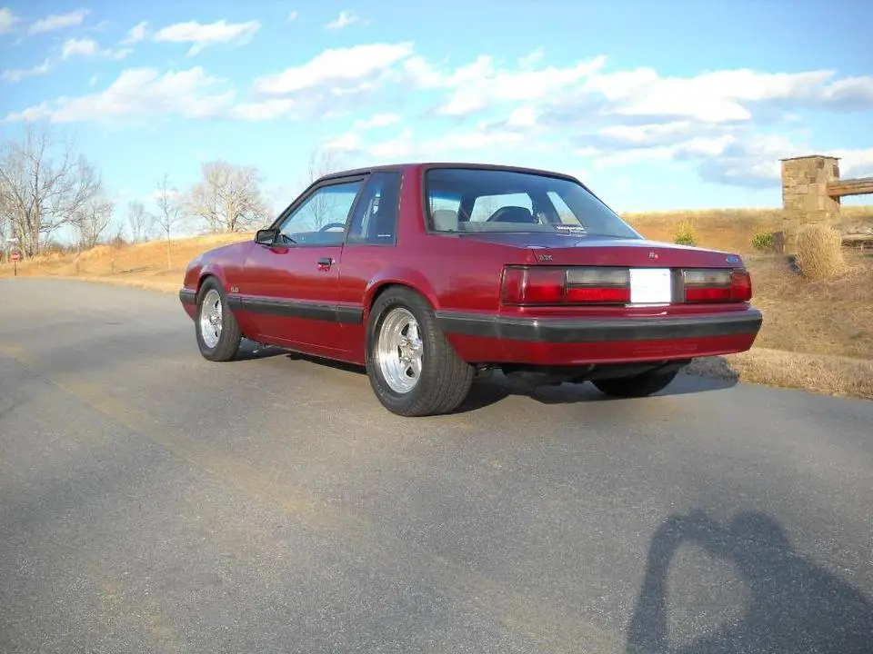 DSCN3345.webp