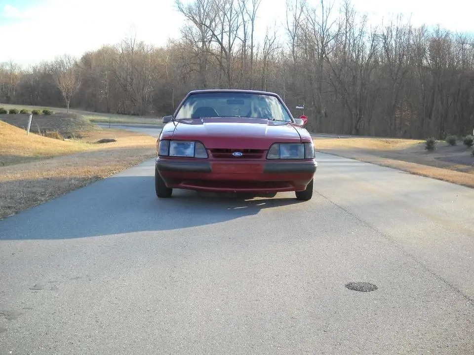 DSCN3352.webp