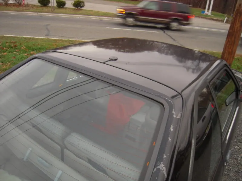 DSCN3367.webp