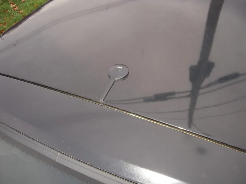 DSCN3368.webp