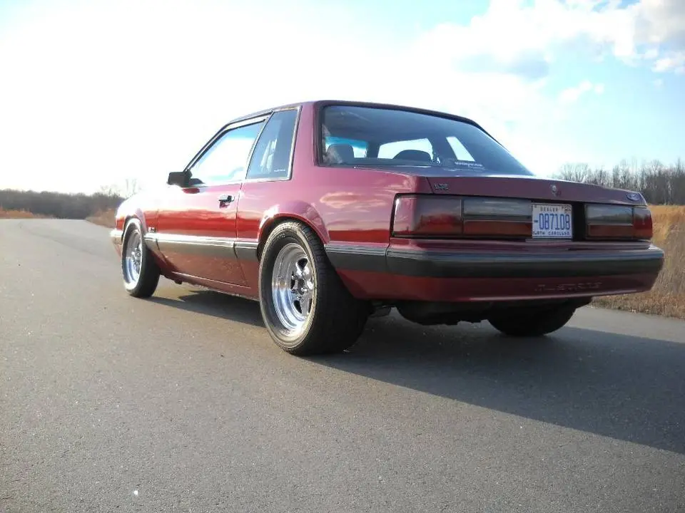 DSCN3371.webp