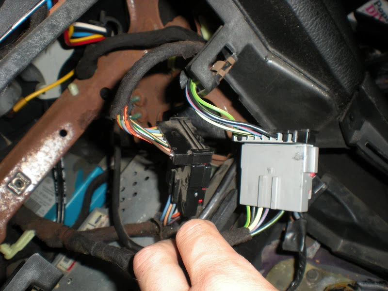 DSCN3378.webp